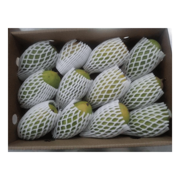 Fresh Mango Exports From India To Canada