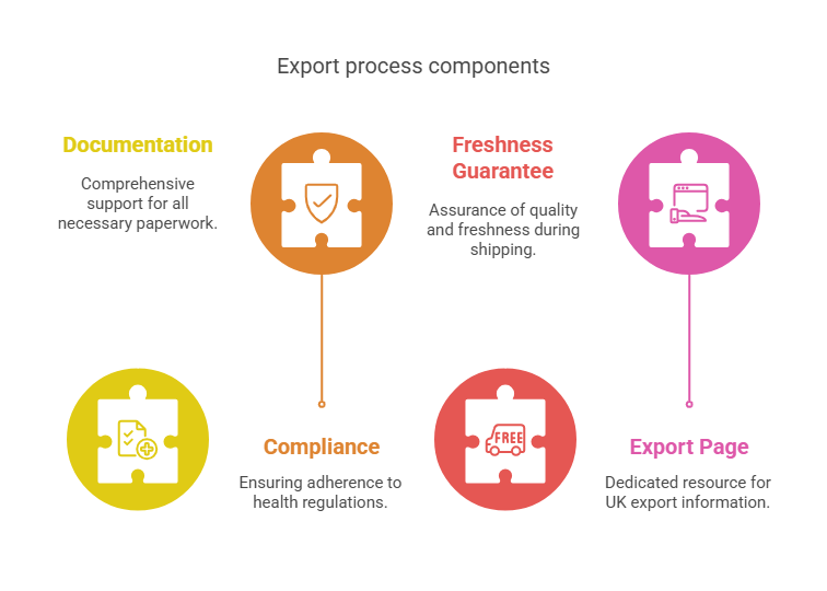 Export Process Components