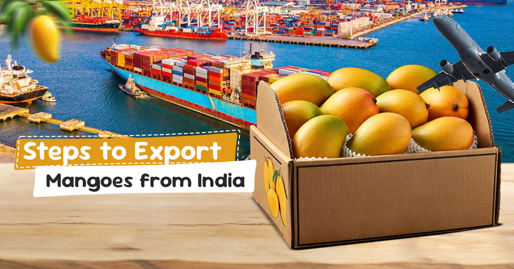export mangoes from india