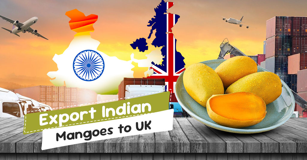 Mango export from india to uk