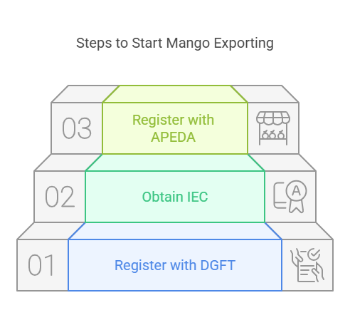 Step to Start Mango Exporting
